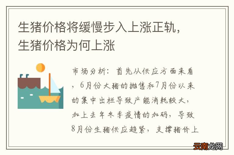 生猪价格将缓慢步入上涨正轨，生猪价格为何上涨