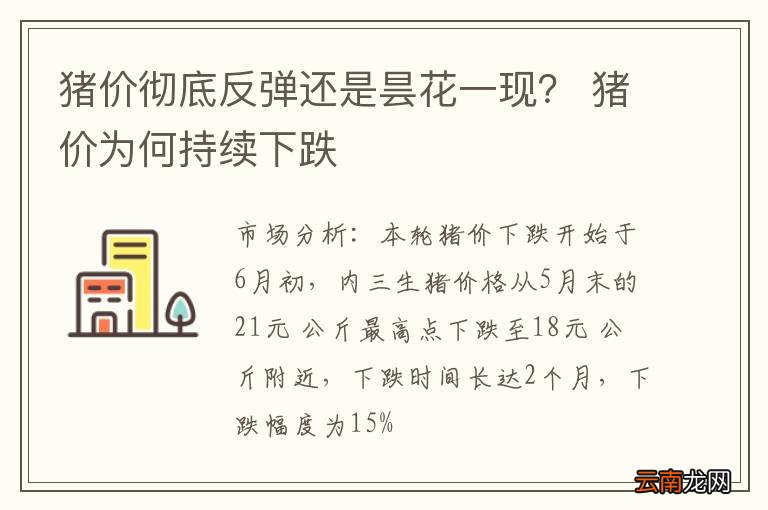 猪价彻底反弹还是昙花一现？ 猪价为何持续下跌