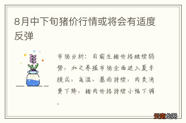 8月中下旬猪价行情或将会有适度反弹