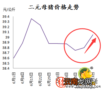 二元母猪仍在涨 后期仍看好的节奏