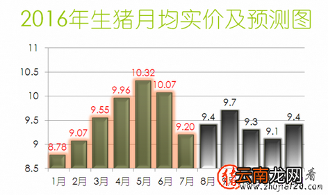 “猪周期”顶峰已过 但仍在高峰期或延长到元旦
