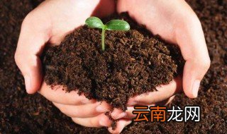 疏松土壤的妙招 松土小妙招送给你