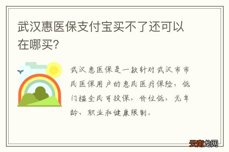 武汉惠医保支付宝买不了还可以在哪买？