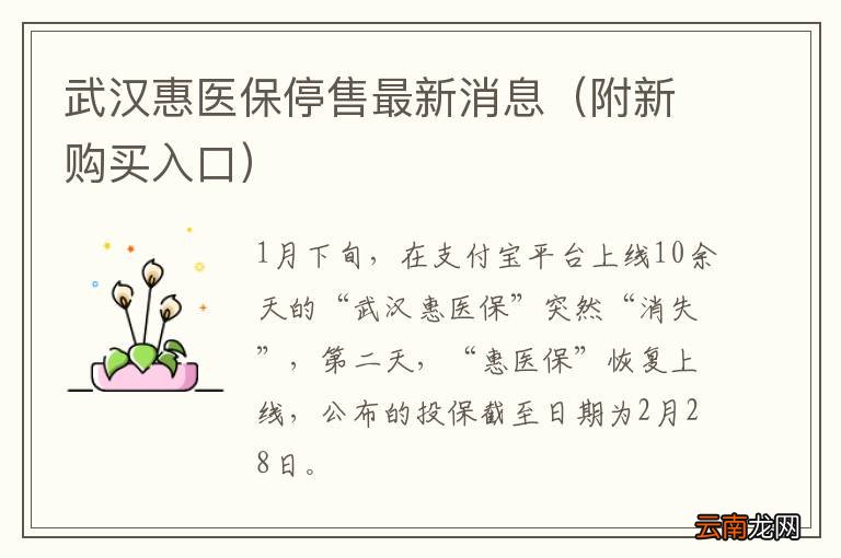 附新购买入口 武汉惠医保停售最新消息