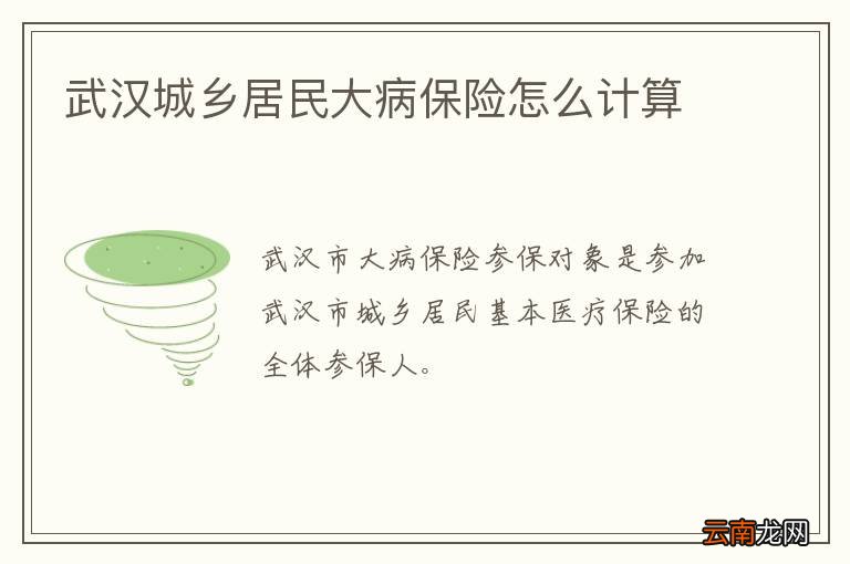 武汉城乡居民大病保险怎么计算