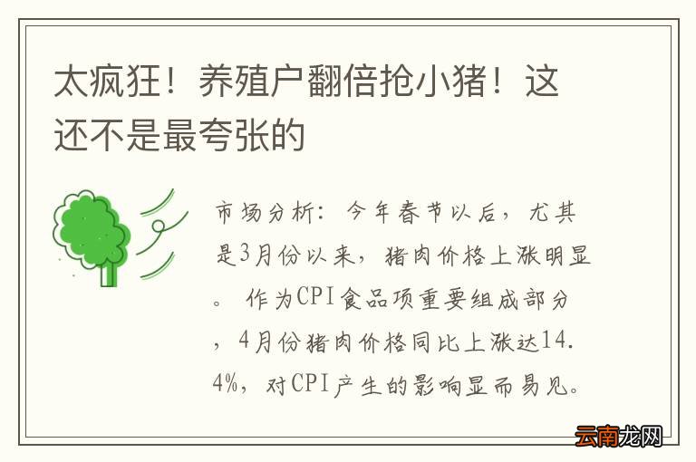 太疯狂！养殖户翻倍抢小猪！这还不是最夸张的