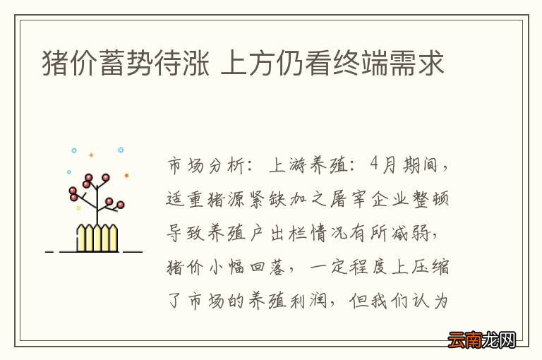 猪价蓄势待涨 上方仍看终端需求