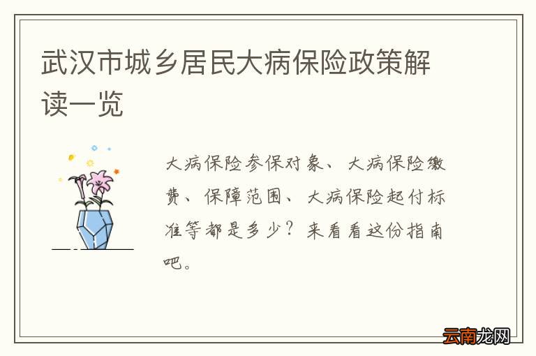 武汉市城乡居民大病保险政策解读一览