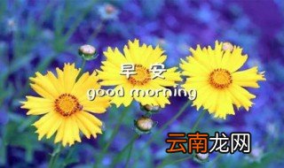很走心的早安干净短句 元气满满的一天