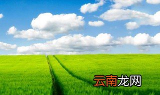 赞美大自然的句子简短 看起来很唯美
