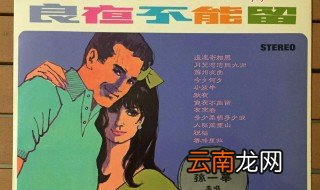 良夜不能留歌词 良夜不能留歌词是什么