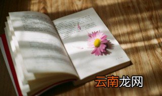 惮组词 惮组词有哪些