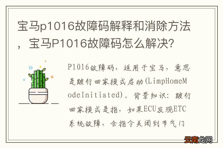 宝马p1016故障码解释和消除方法，宝马P1016故障码怎么解决？