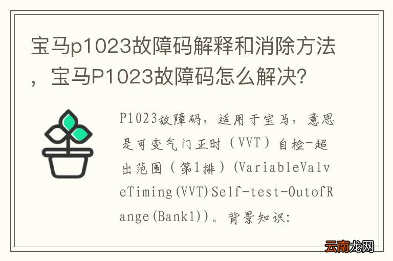 宝马p1023故障码解释和消除方法，宝马P1023故障码怎么解决？