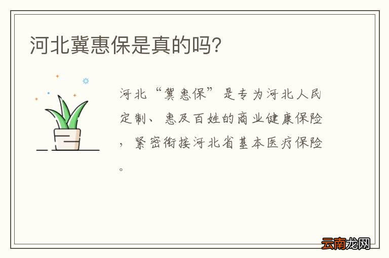 河北冀惠保是真的吗？