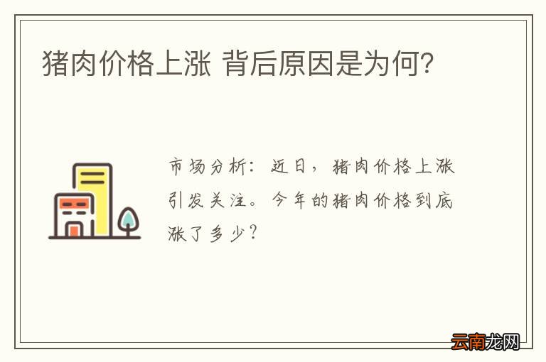 猪肉价格上涨 背后原因是为何？