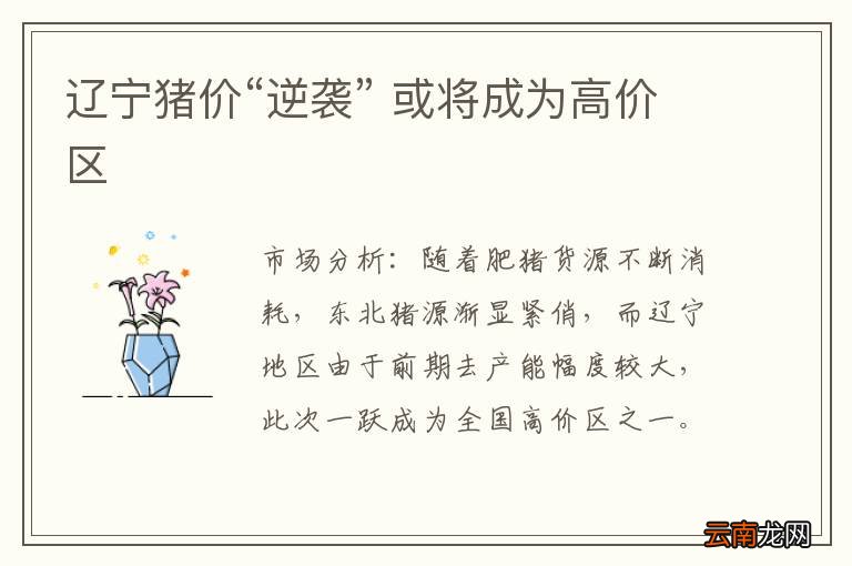 辽宁猪价“逆袭” 或将成为高价区