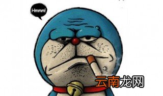 狠拽的句子 这些句子你喜欢吗