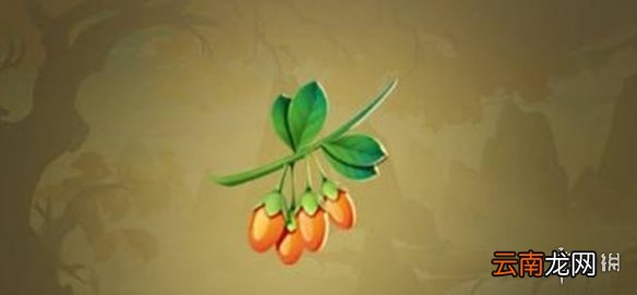 剑网3指尖江湖茱萸怎么获取 茱萸获取攻略