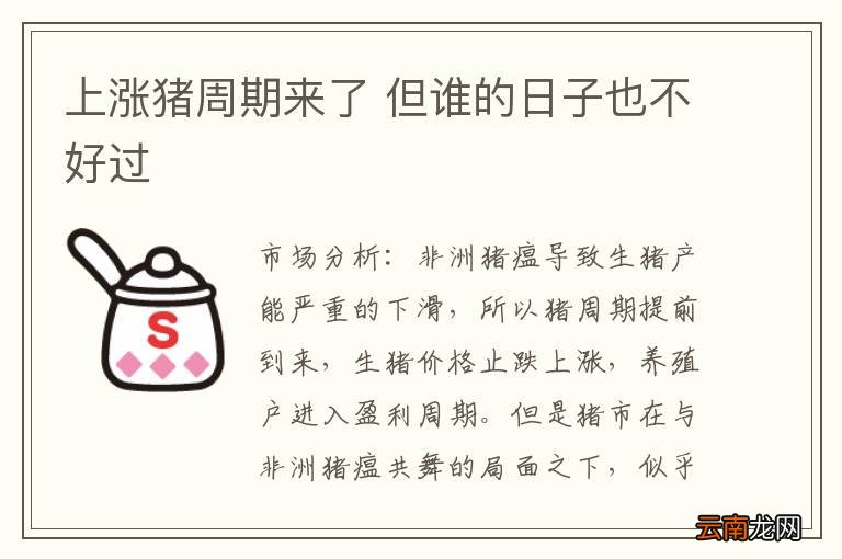 上涨猪周期来了 但谁的日子也不好过