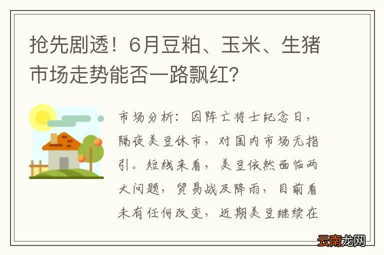 抢先剧透！6月豆粕、玉米、生猪市场走势能否一路飘红？