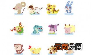 2001年属什么 2001年发生了什么事情