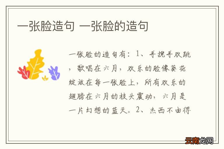 一张脸造句 一张脸的造句