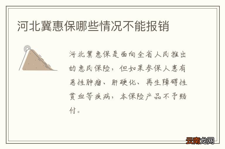 河北冀惠保哪些情况不能报销