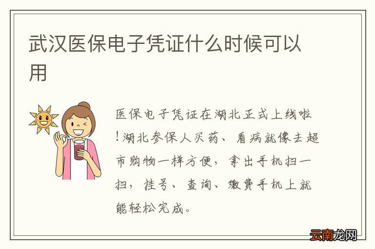 武汉医保电子凭证什么时候可以用