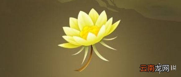 剑网3指尖江湖胭脂点雪在哪 神秘位置在哪