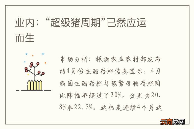 业内：“超级猪周期”已然应运而生