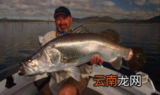 路亚黑鱼用什么线 还需要什么材质