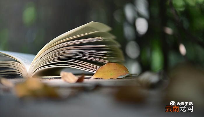 勤勉的熊告诉我们什么道理 勤勉的熊告诉我们的道理