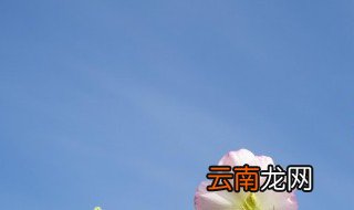 什么的蓝天填空 什么的蓝天填词