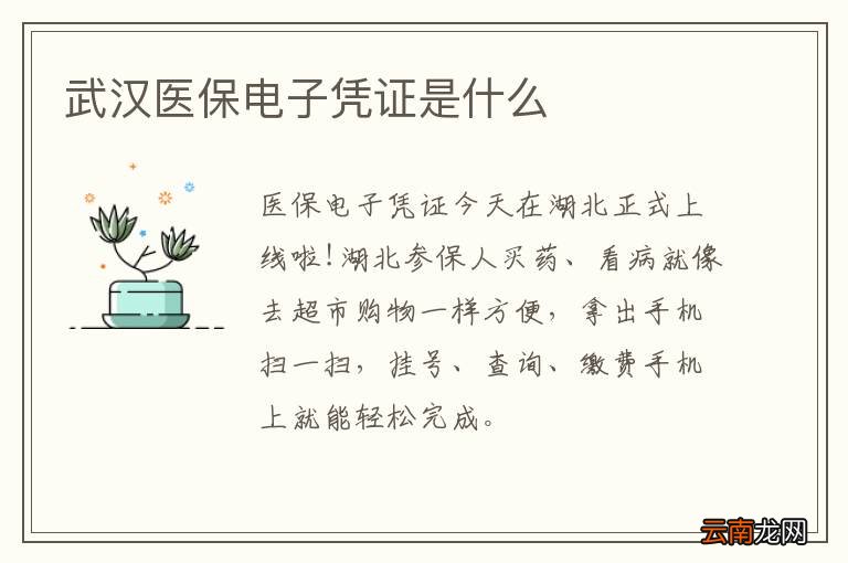 武汉医保电子凭证是什么
