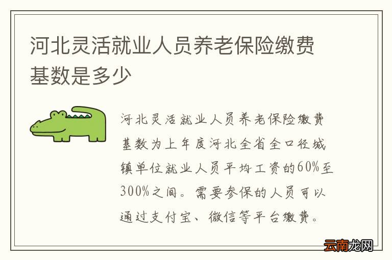 河北灵活就业人员养老保险缴费基数是多少