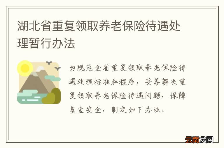 湖北省重复领取养老保险待遇处理暂行办法