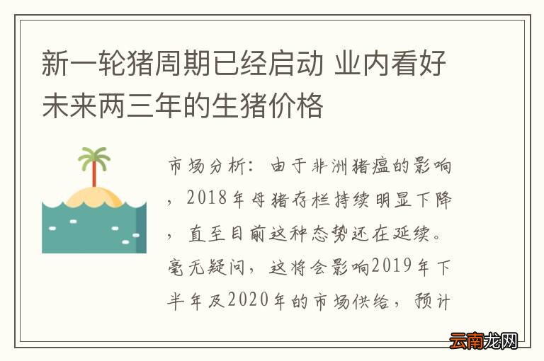 新一轮猪周期已经启动 业内看好未来两三年的生猪价格