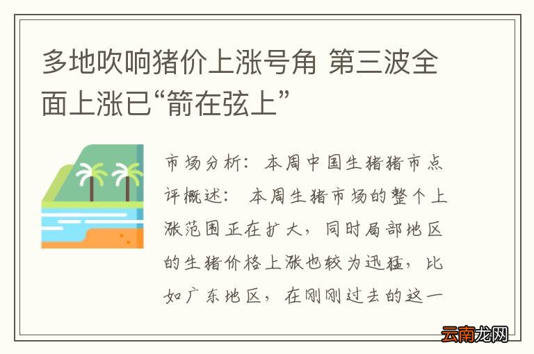 多地吹响猪价上涨号角 第三波全面上涨已“箭在弦上”