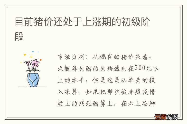 目前猪价还处于上涨期的初级阶段