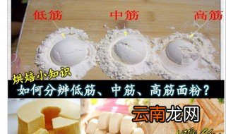 做包子要用哪种面粉 哪种面粉可以做包子