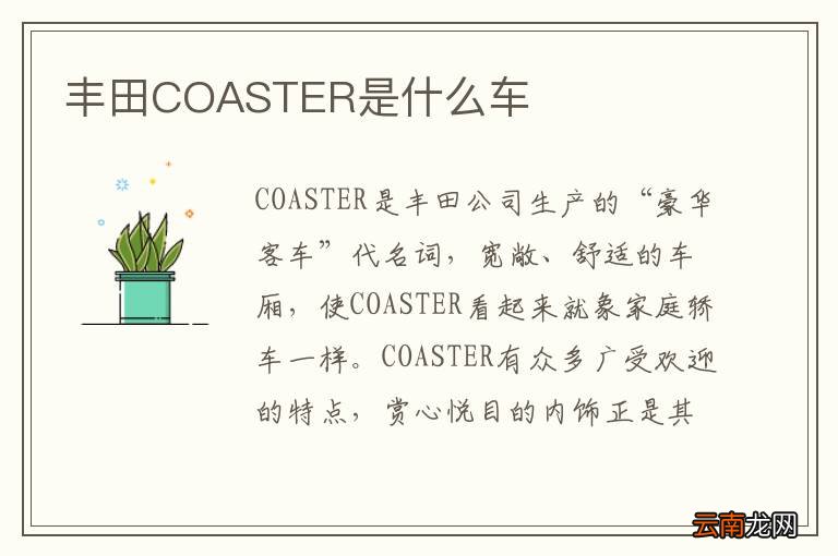 丰田COASTER是什么车