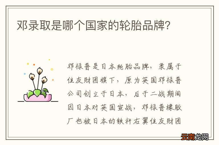 邓录取是哪个国家的轮胎品牌？