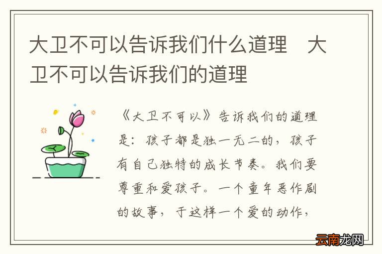 大卫不可以告诉我们什么道理	大卫不可以告诉我们的道理