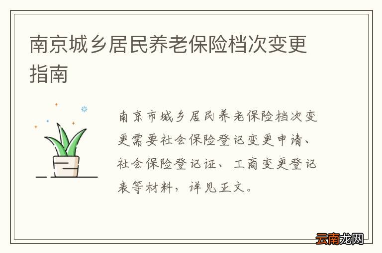 南京城乡居民养老保险档次变更指南