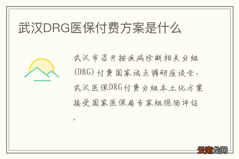 武汉DRG医保付费方案是什么