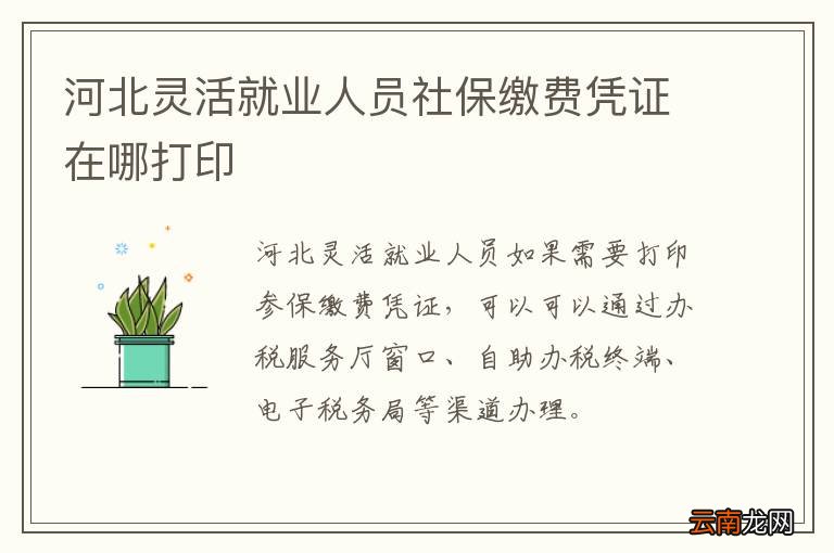 河北灵活就业人员社保缴费凭证在哪打印