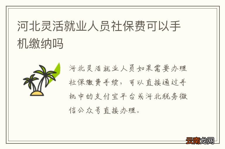 河北灵活就业人员社保费可以手机缴纳吗