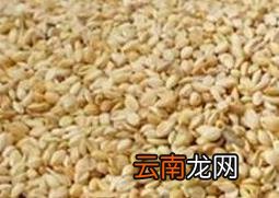 黍子枕头的功效与作用