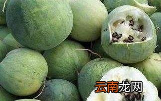 籽瓜皮的功效与作用
